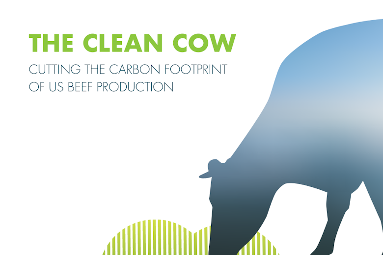Clean Cow Web Banner 2