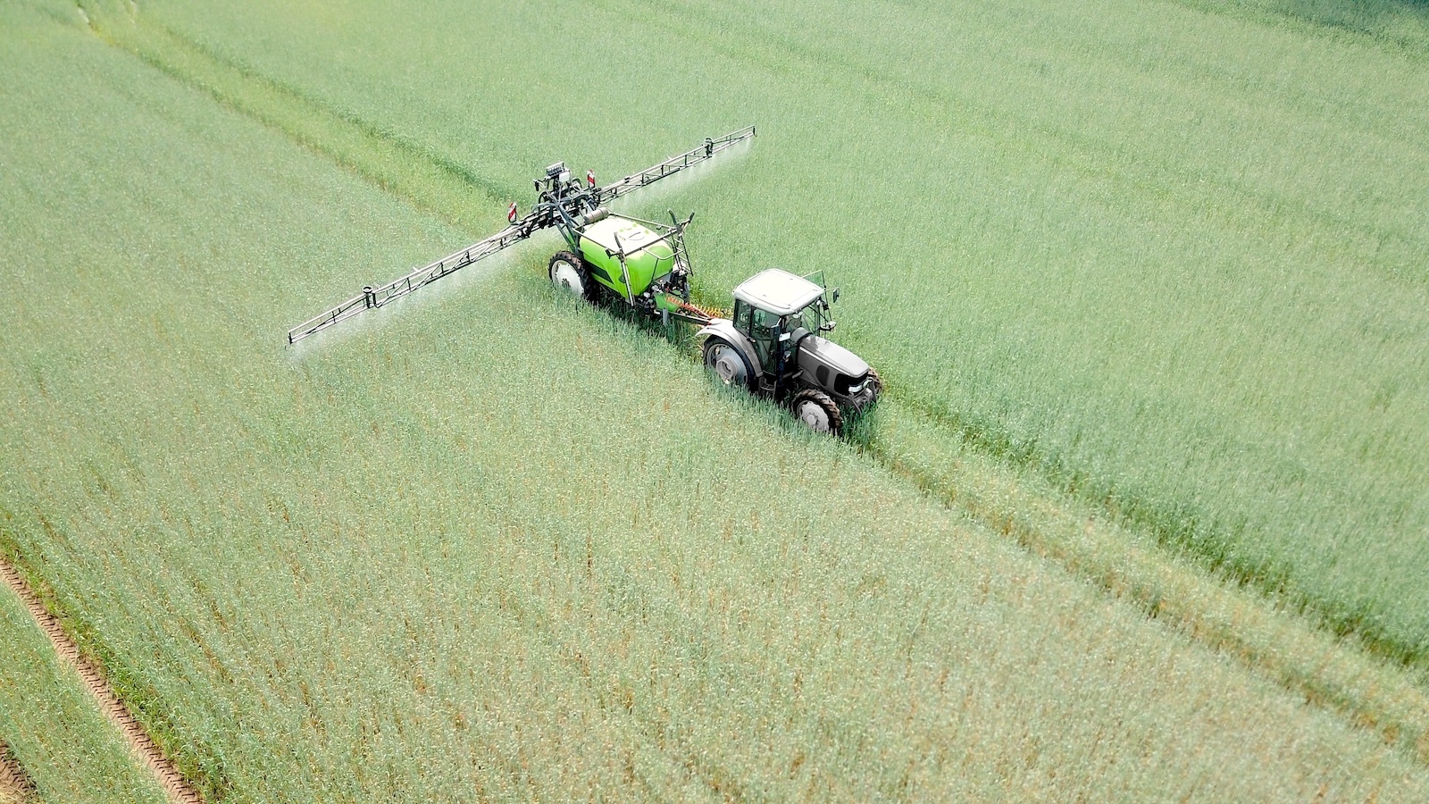 The Clock Is Ticking for Glyphosate