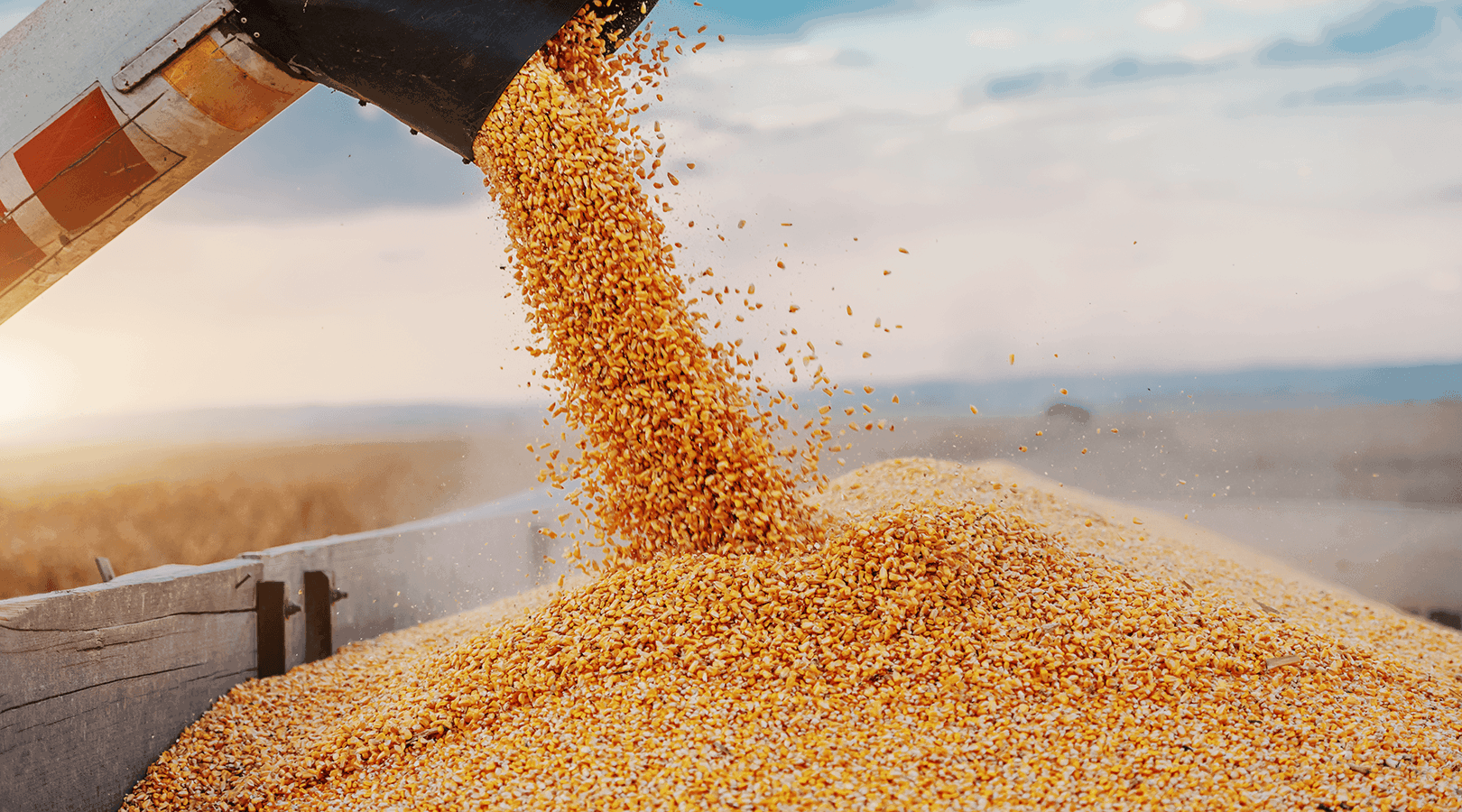 Climate Change Need Not Be the Harbinger of Global Famine