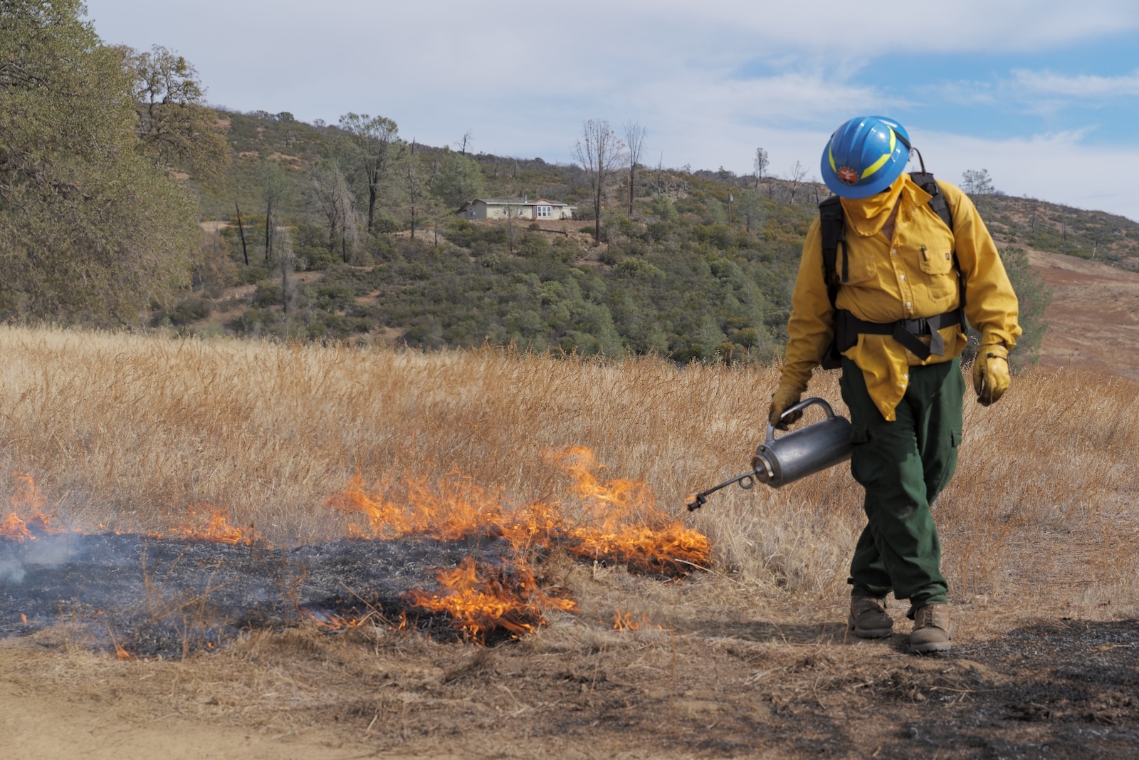Prescribed burn