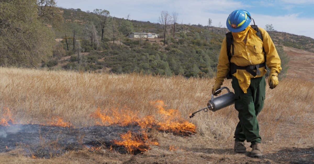 Trump’s Reorganization Adds to Perfect Storm of Wildfire Risk