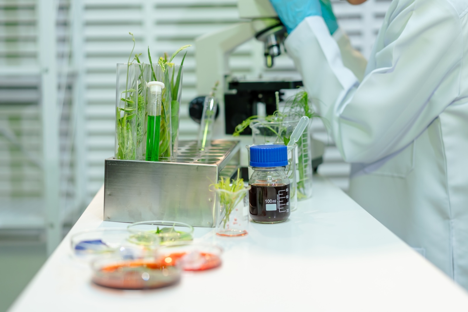 AG BIOTECH
