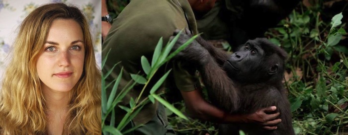 Melanie Virunga Gorilla