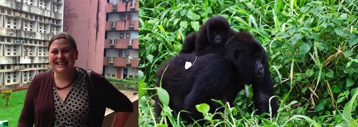 Seay Gorillas Banner