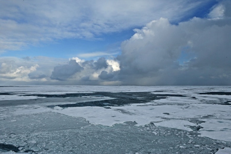 Arctic Ice 2