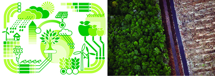 Boisvert Biomass Main