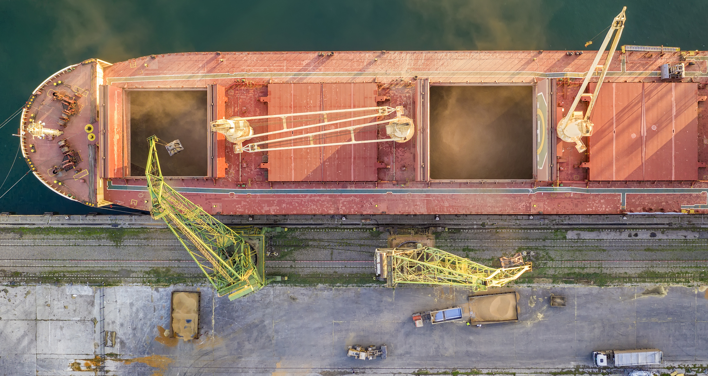 Covid ag trade cover