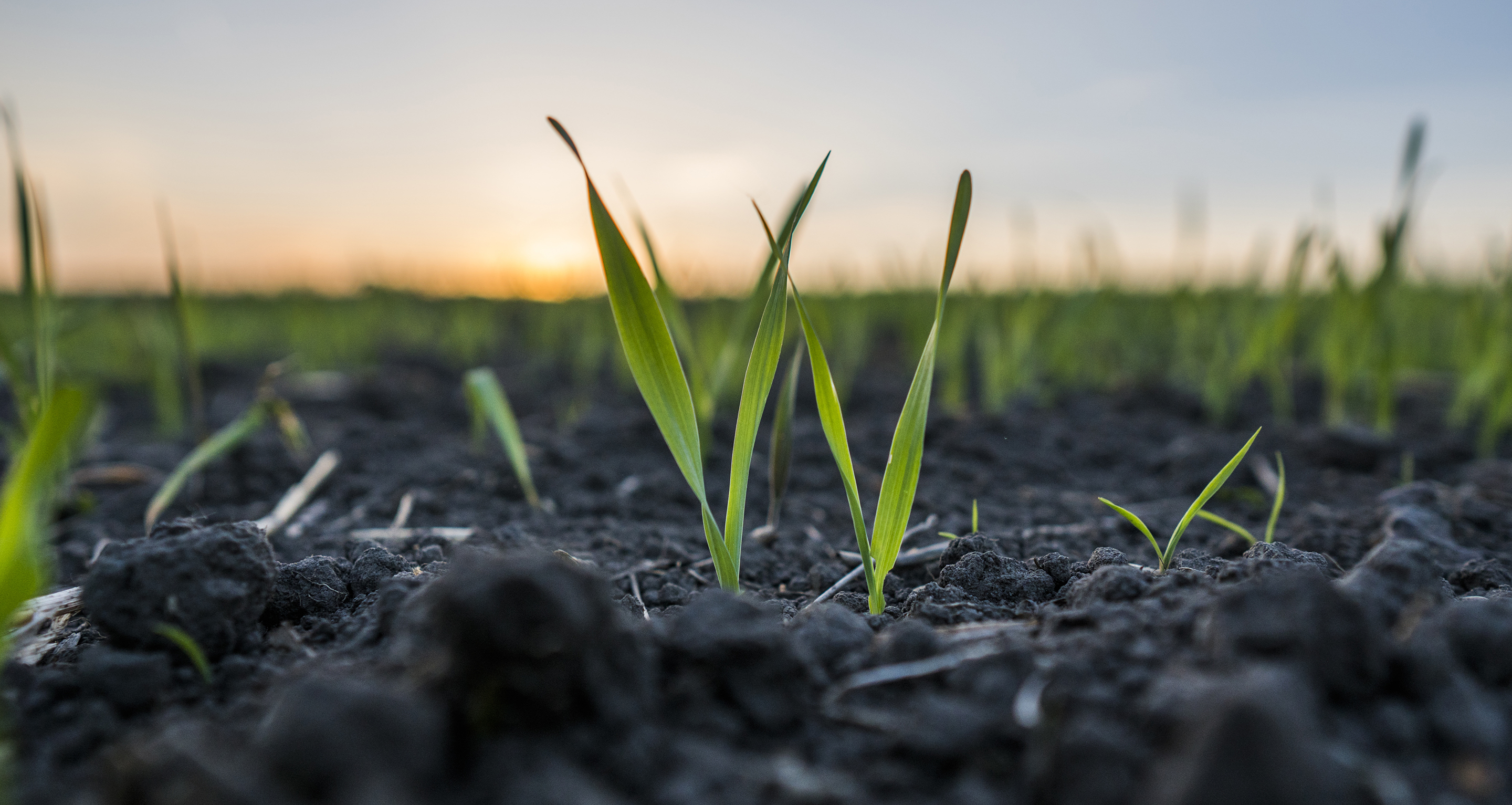 Dan book review 2880x1532 1