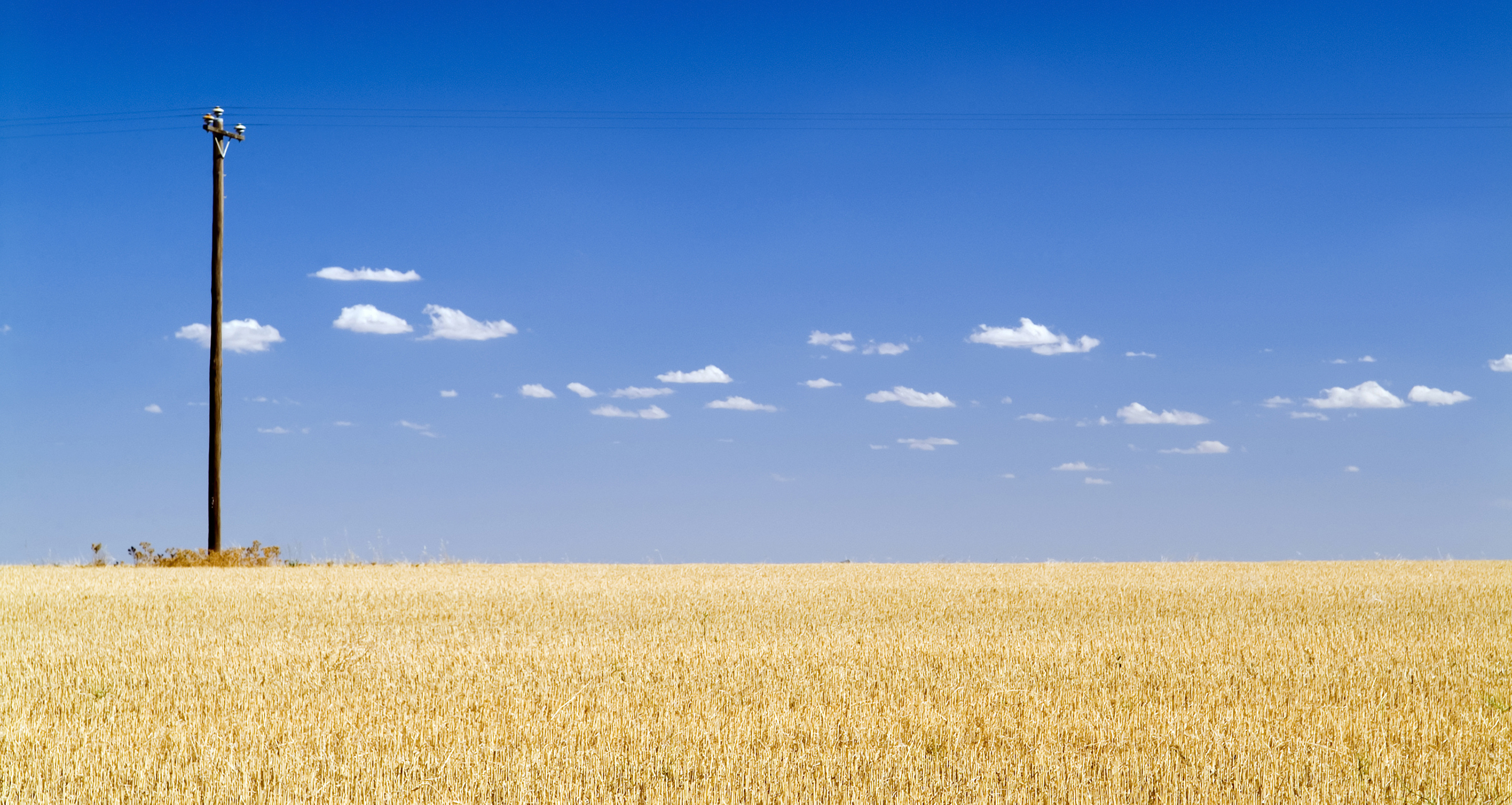 Electrify cover photo