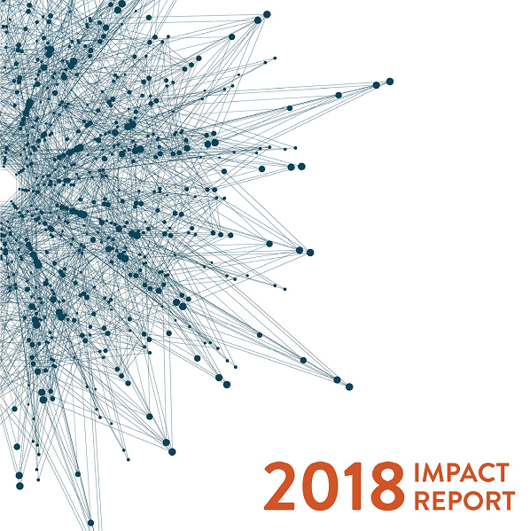 Impact Report Cover 2