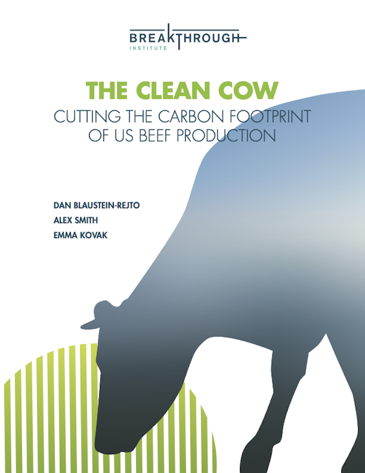 The Clean Cow
