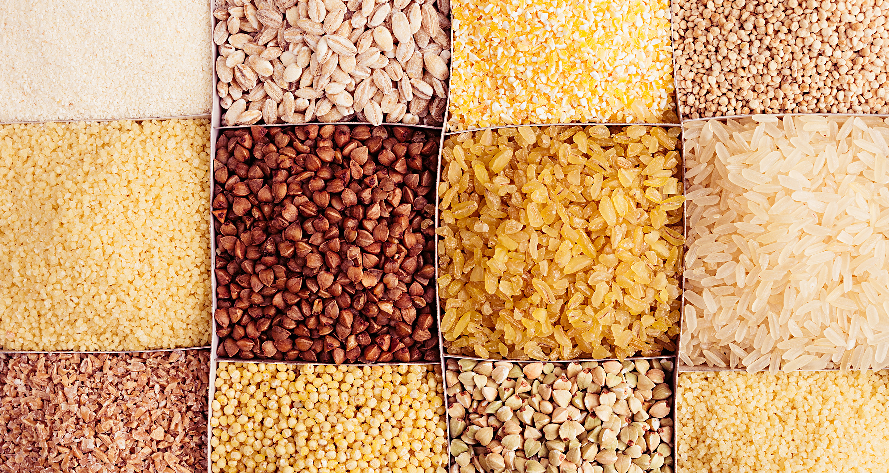 Rachel laudan 2880x1532 1